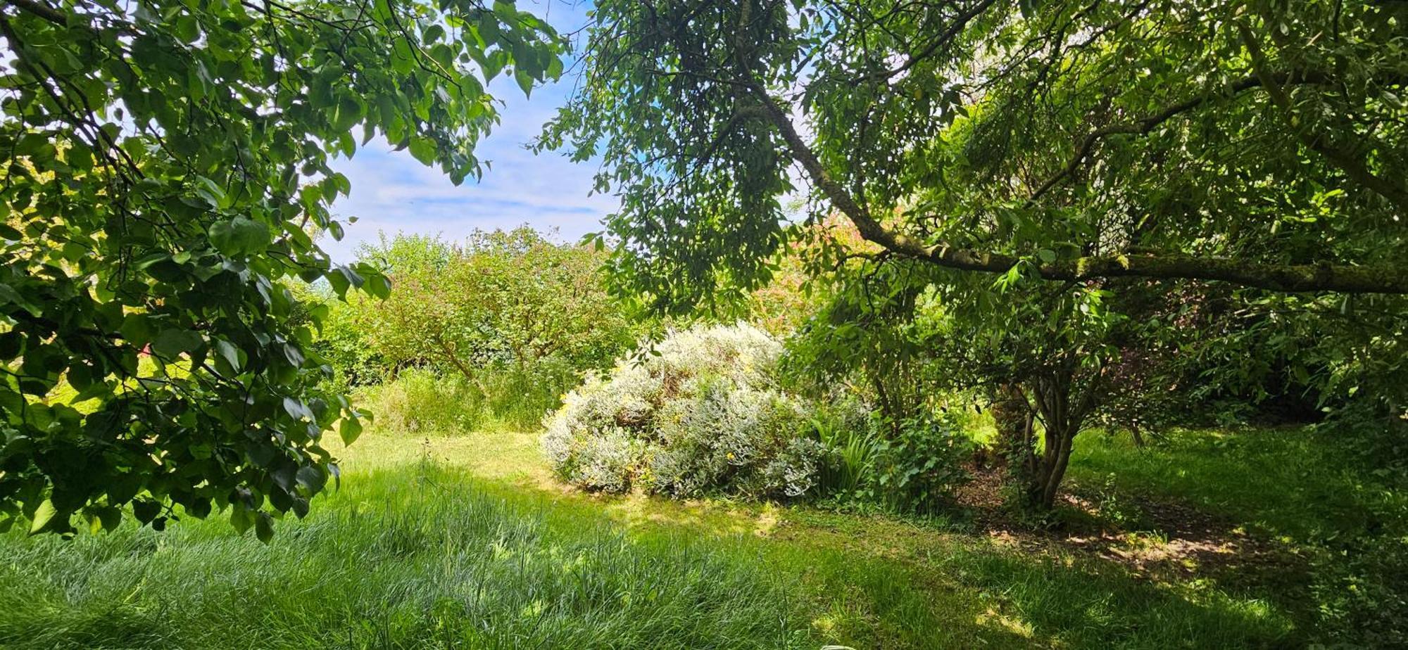 La Petite Maison Wimereux Ngoại thất bức ảnh